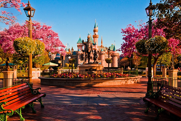 ccm-review-disney-experience.jpg