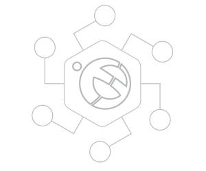 Estructura operativa